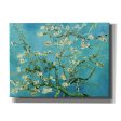 Almond Blossoms  by Vincent Van Gogh, Canvas Wall Art Supply