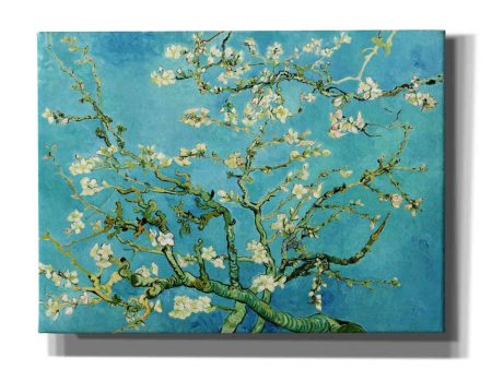 Almond Blossoms  by Vincent Van Gogh, Canvas Wall Art Supply