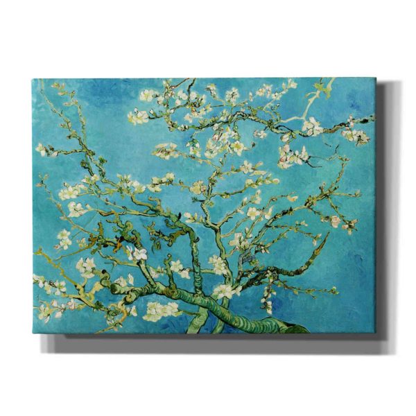 Almond Blossoms  by Vincent Van Gogh, Canvas Wall Art Supply