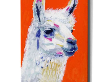 Animal Party IV  by Victoria Borges, Canvas Wall Art Cheap