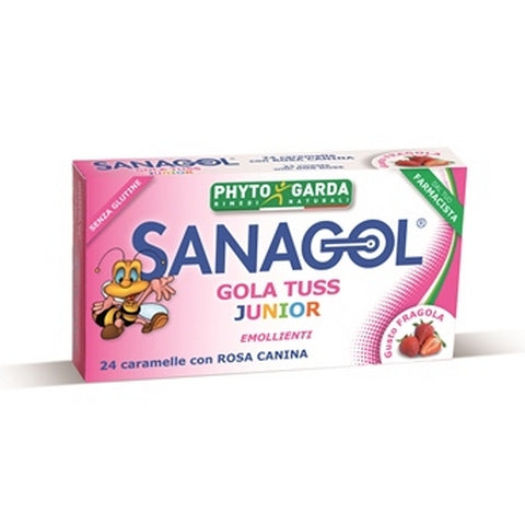 Sanagol Gola Tuss J Frag 24car Online now